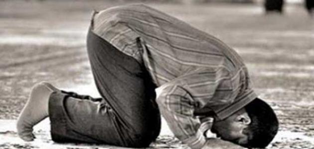 كيفية أداء السجدة في القران كنج كونج